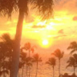 Meet your Posher, Pauline